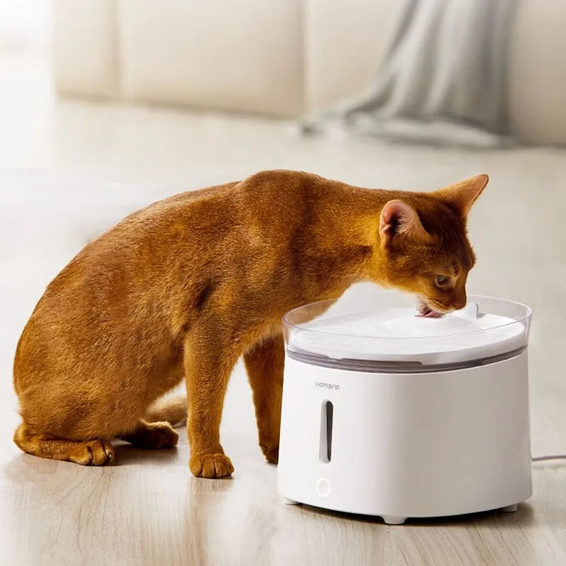 Cat Water Fountain Filter Kibble Container Automatic Feeders Offer Convenience Small Animals Automatic Cycle Drinking Water Bowl