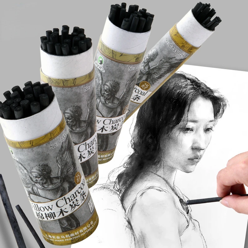 

25pcs Sketch Charcoal Stick Set 2-9 MM Thick Pencil Student Outdoor Pen Professional Art Supplies