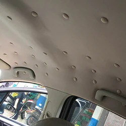10pcs Car Interior Ceiling Cloth Fixing Screw Cap For Peugeot 206 207 208 301 307 308 407 2008 3008 4008