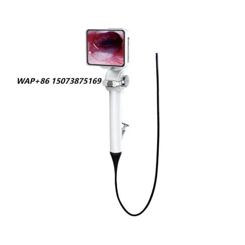 Handheld veterinary multifunctional endoscope for otolaryngology/bronchoscopy/cystoscopy diagnostic injections, small equipment