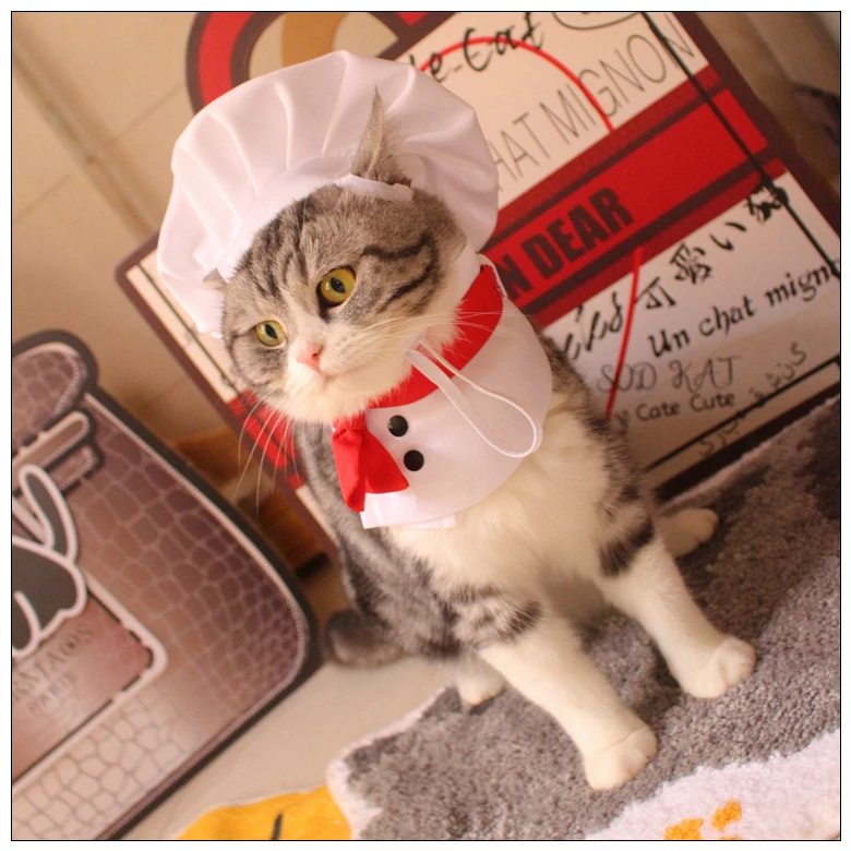 Pet Costumes Cat Chef Costumes Christmas Lovely Party Role-playing Costumes Hats Scarves Pet Christmas Gifts Pet Supplies