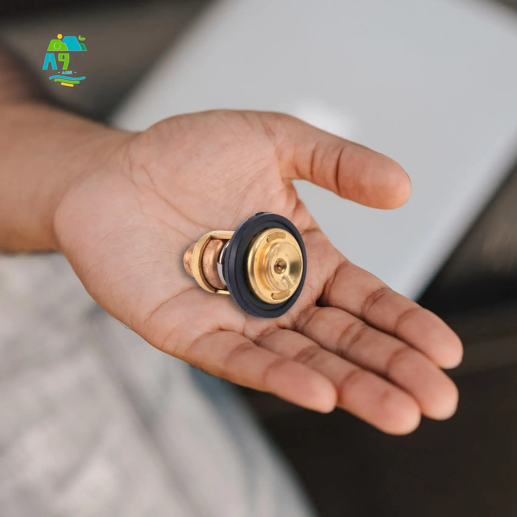 

A09E-1Pc 66M-12411-00 Термостат лодочного двигателя для детали подвесного двигателя Yamaha