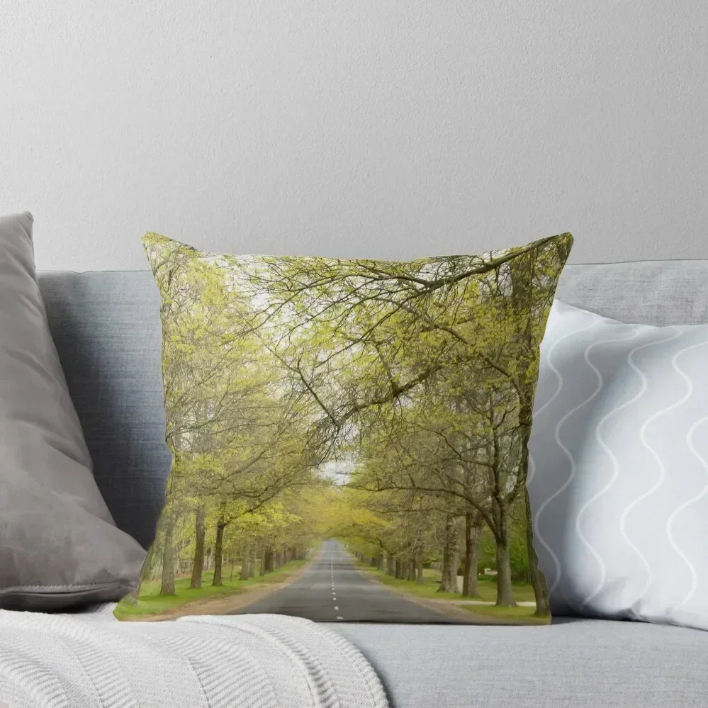 

Spring on Honour Ave Throw Pillow Decorative pillow case Pillow Case Christmas autumn decoration Plaid Sofa
