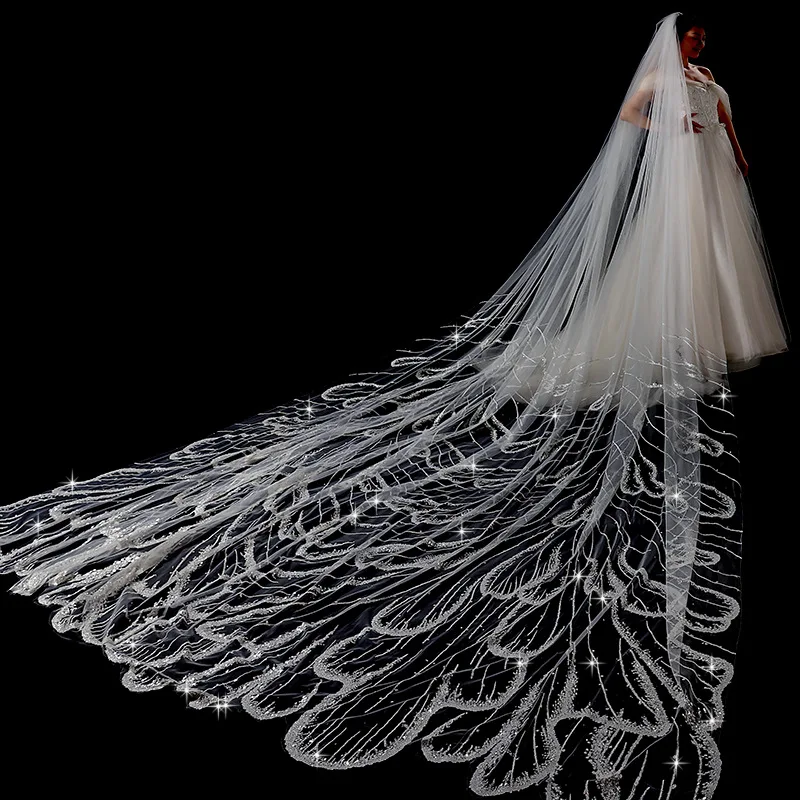

L&P DQL Studio Cathedral Wedding Veil Shining Applique Bridal Veil Long Tulle Veil with Comb for Women and Bride 3.8M