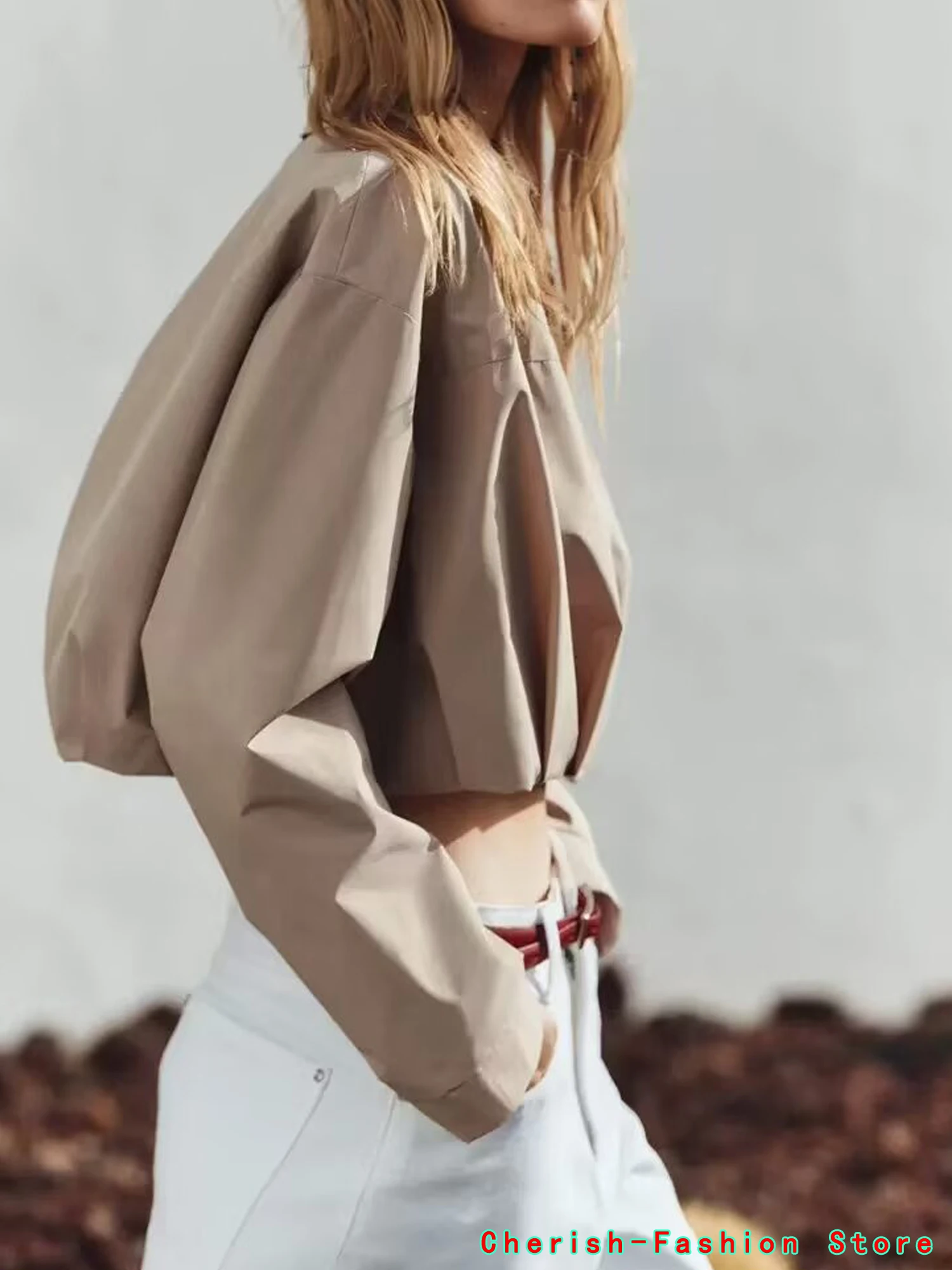 Zomer nieuwe eenvoudige en modieuze ritssluiting zichtbare taille geplooide decoratie brede revers lange mouwen korte jas casual jas Hot