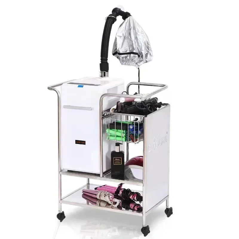 Factory Direct Price Hair Steamer Nano Mist Spa Hot sales