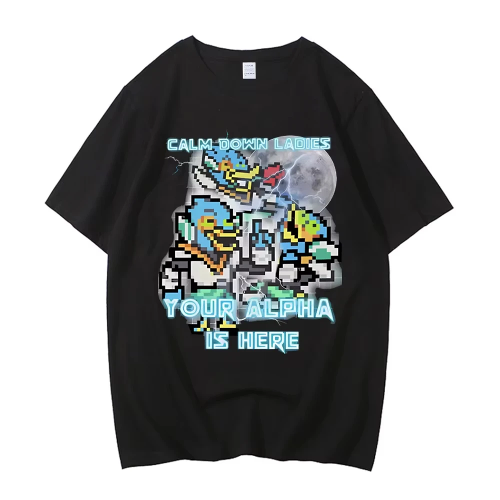 Camiseta unisex de algodón premium con estampado de eslogan divertido de Berdly Deltarune, top casual para fanáticos de los videojuegos, uso diario y regalos novedosos.