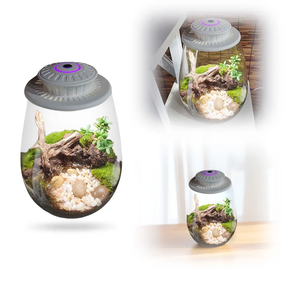 

Fern Moss Micro-Landscape Vase with Grow Light Creativity Dew Collection Glass Vase for Home Garden Office Tabletop Decoration