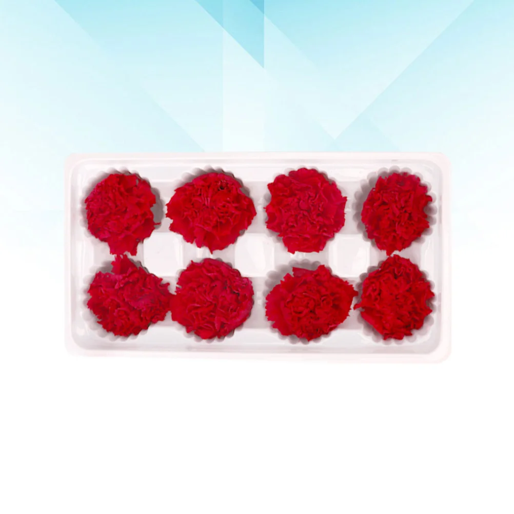 قرنفل أبدي زهرة مجففة طبيعية رومانسية للأبد هدايا تتفتح لعيد الحب وعيد الأم وعيد الميلاد #1