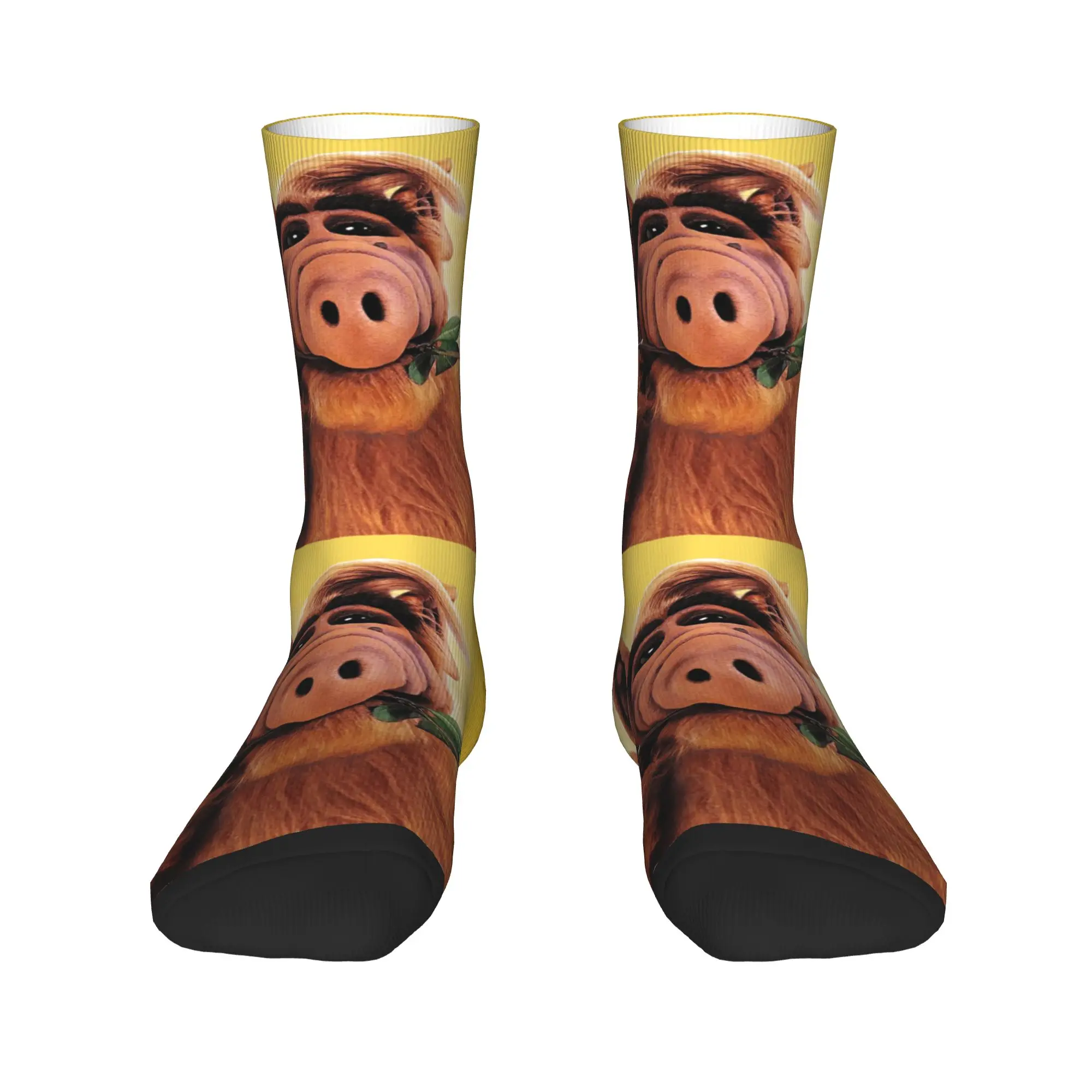 Alf With Flower Men… - image