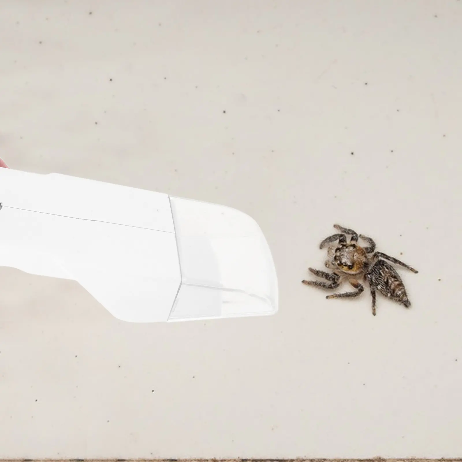 

Handheld Catcher Tool White Long Handle Portable Spider Bee Catching Tool for Use Multi Functional Humane Critter