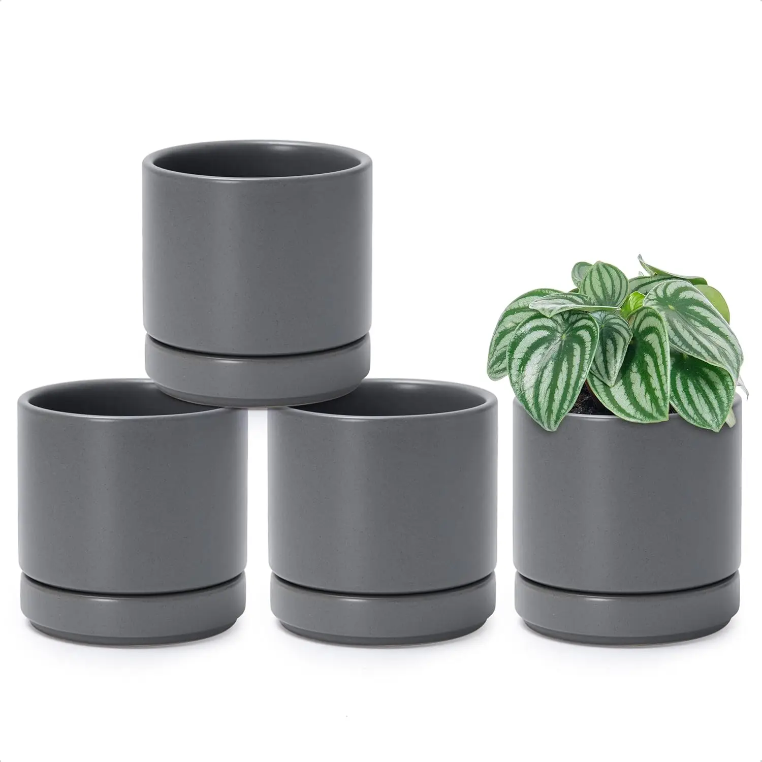 

Set of 4 Small Ceramic Plant Pots, 4.7 Inch Succulent Planter Pot for Plants with Drainage Hole and Saucer, Grey, 94-X-B