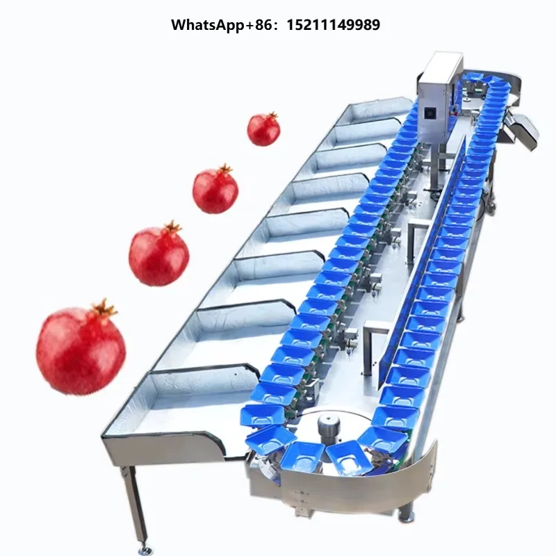 Hot Sale Automatic Fruit Vegetable Sorting Potato Tomato Orange Avocado Onion Grading Washing Size Weighing Machine