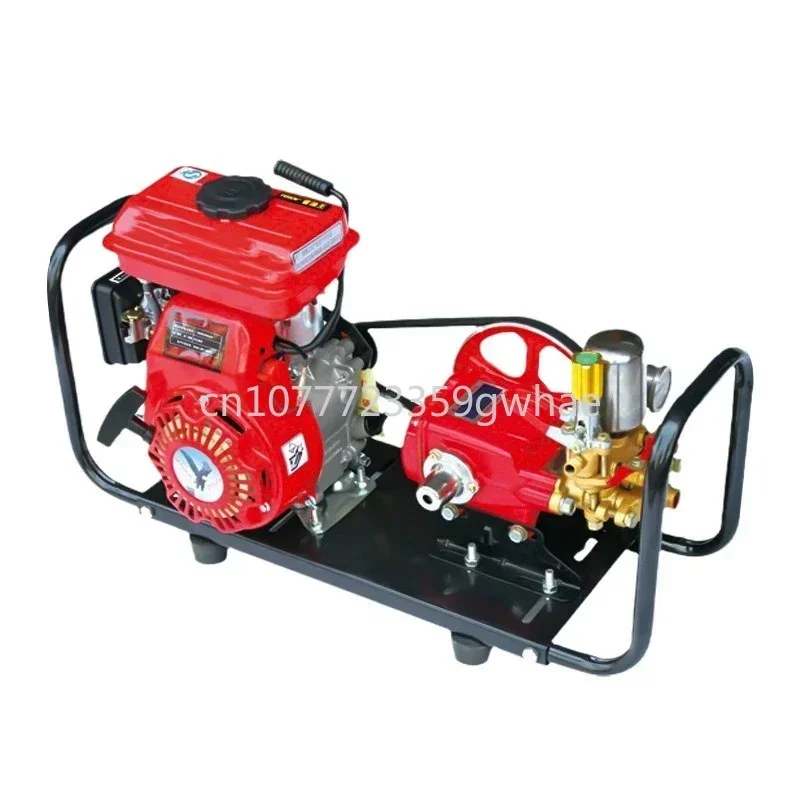 Power spray Four stroke gasoline high-pressure agricultural orchard spray Portable thick pump head GM-BB2