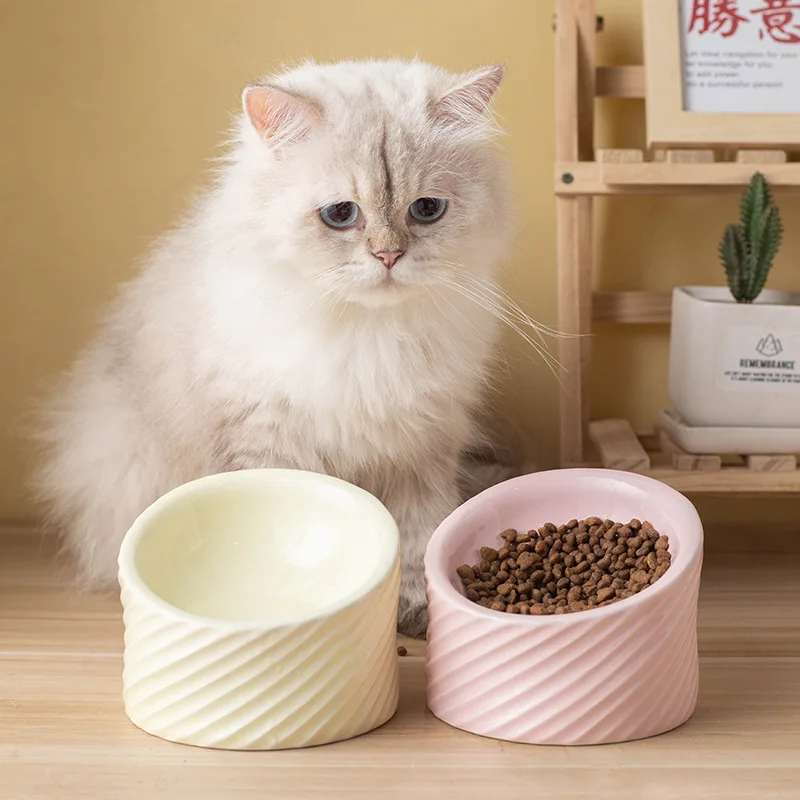 Ceramic cat bowl protects cervical spine oblique mouth tall dog cat food bowl to prevent overturning cat food basin rice basin