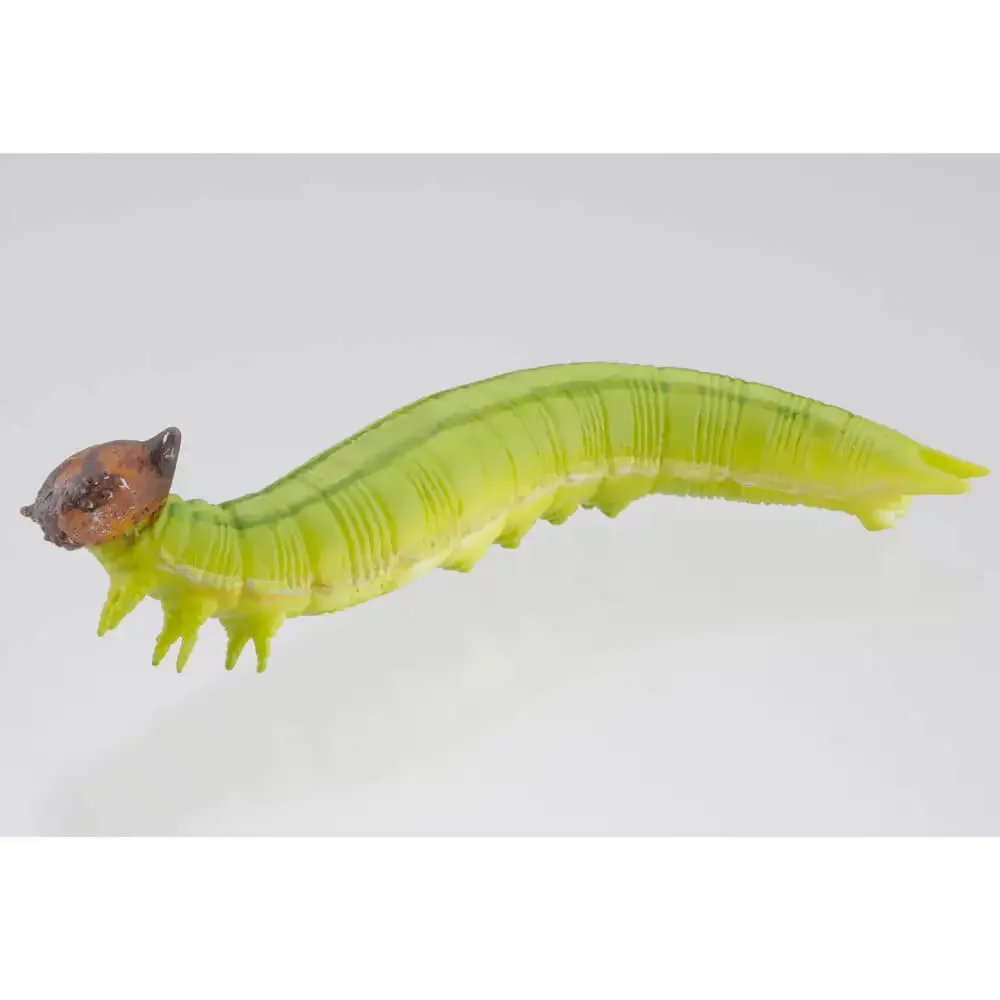 Twisted Egg Scale Model Japanese Authentic Caterpillar Silkworm Larvae Anchovy Butterfly Larvae Twist Eggs Desktop Collection