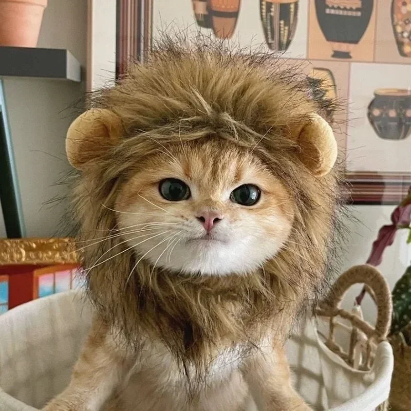 Cute Lion Mane Cat Wig Hat for Dogs and Cat Small Dog Pet Cat Decor Accessories Lion Wig Fancy Hair Cap Pet Supplies