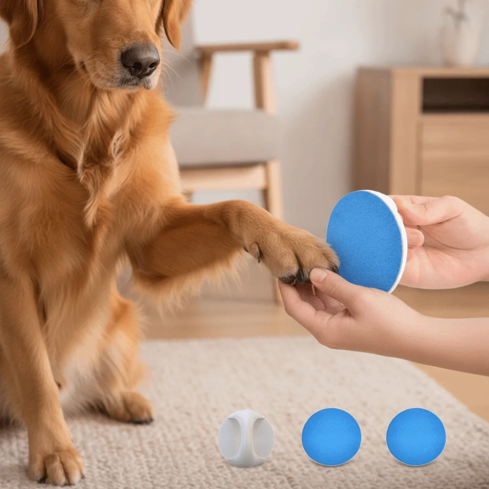 Professional Cat Nail Scratch Board Portable Handheld Nail Smoothing Dog Nail Grinder Sandpaper Grinding Pad Cat Grooming Tool