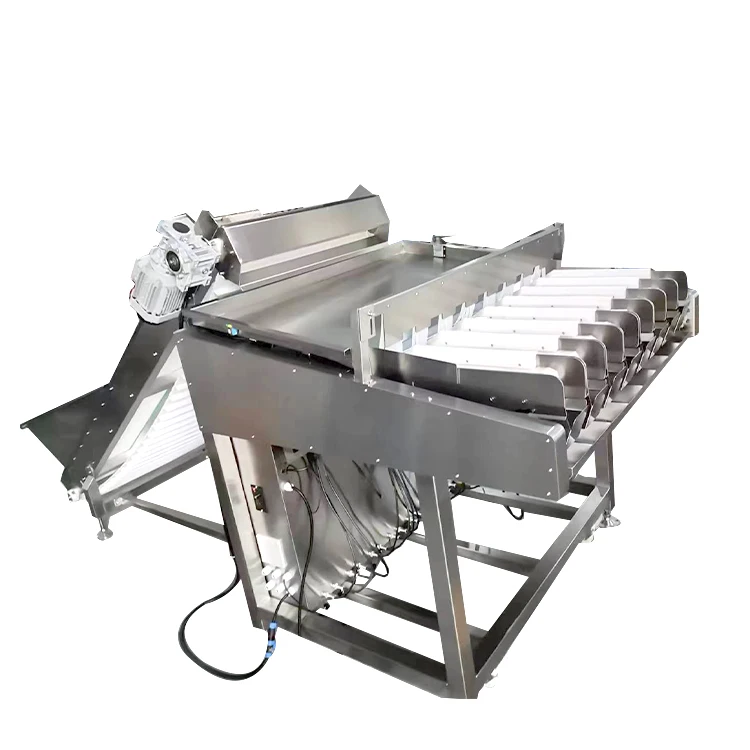 Máquina de embalagem e pesagem de classificação de mirtilo totalmente automática para venda