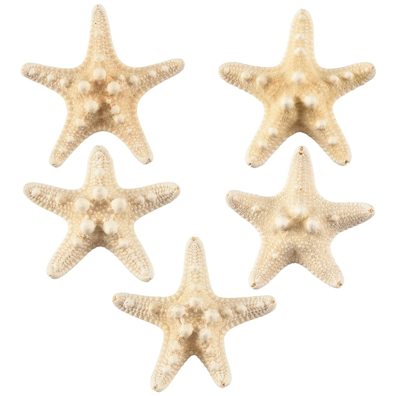 New 5Pcs/Lots Crafts White Bread Sea Shell Starfish, Fashion Home Decorative Handicrafts