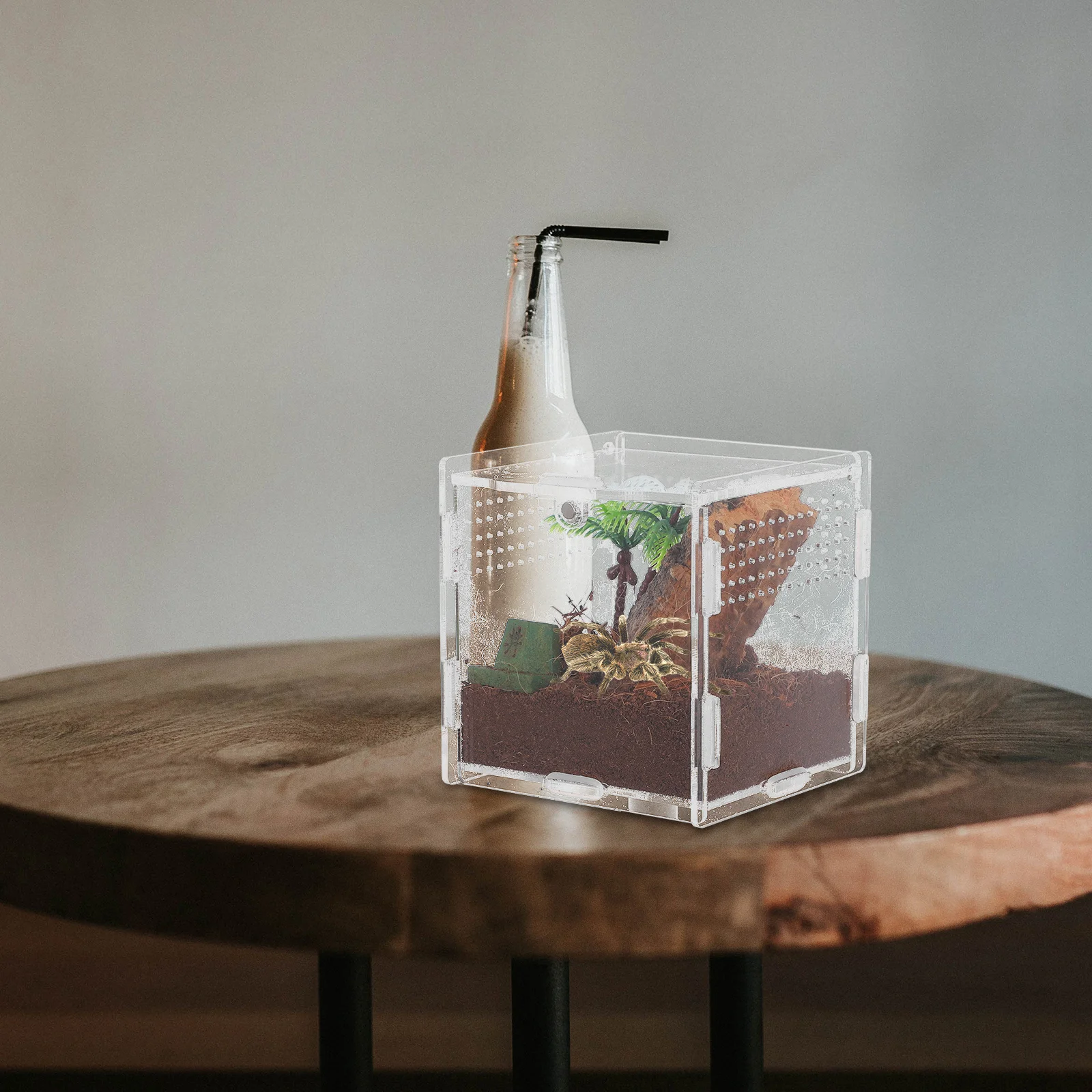 

5pcs Pet Spider Box Compact Transparent Acrylic Terrarium Escape-Proof Habitat For Jumping Spiders Small Reptile Tank Insect