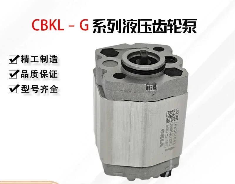 Hydraulische Zahnradpumpe CBKL-G2200BL G2420BL CBKL-G2160 Netzteil Ölpumpe