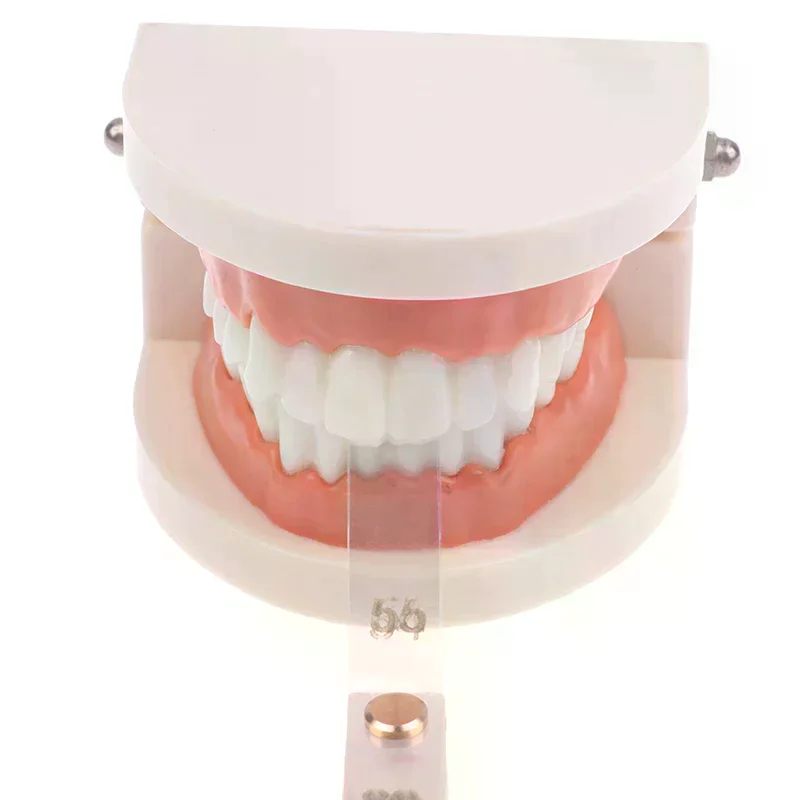 /ACR/Dental Interproximal Reduction Gauge Ruler Treatment Tools 0.1 Mm Tooth Plastic Transparent Measuring Ruler 56 Pcs/Set