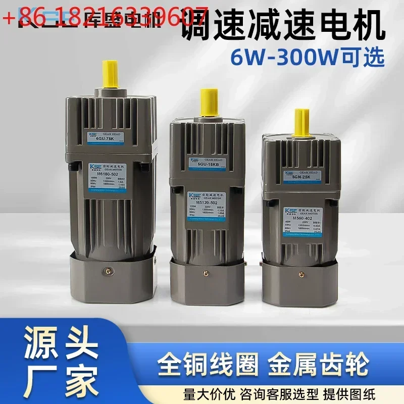 TAO 6-300W conveyor belt integrated single-phase 220V adjustable AC gear variable speed motor