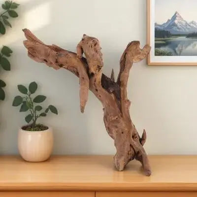 Decoración Natural de Madera Seca para Acuario, Tronco Subacuático de 25 cm, para Acuarios de Agua Dulce, Agua Salada y Reptiles