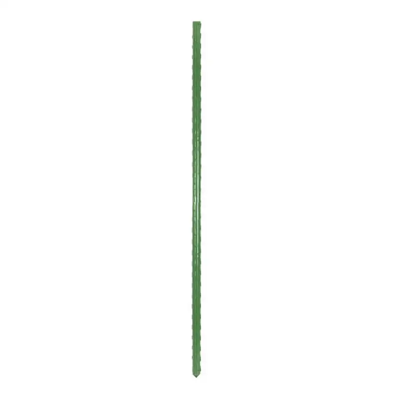 

Plant Stake Supports Garden Plant Support Stakes Vegetables Flowers Vine Man Plant Stakes Steel Plant Sticks For Indoor And