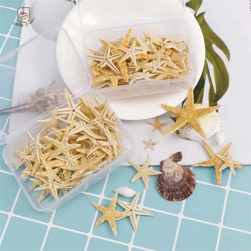 1Box/1pc Round Square Natural Starfish Seashell Beach Craft Natural Sea Stars DIY Beach Wedding Decoration Crafts Home Decor