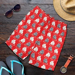 Cartoon Animals Shorts Men Gym Quick Dry Running Sport Shorts Summer Kawaii Anime Rat 3D Print Casual Beach Short Pants Fitness