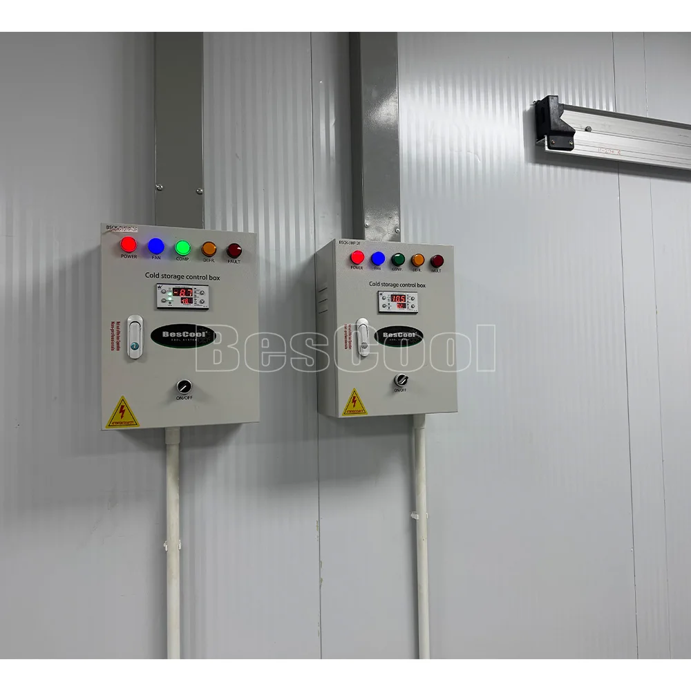 Vendita calda Congelatore a bassa temperatura Camminata nel congelatore Sala commerciale per celle frigorifere per vendita al dettaglio e in negozio