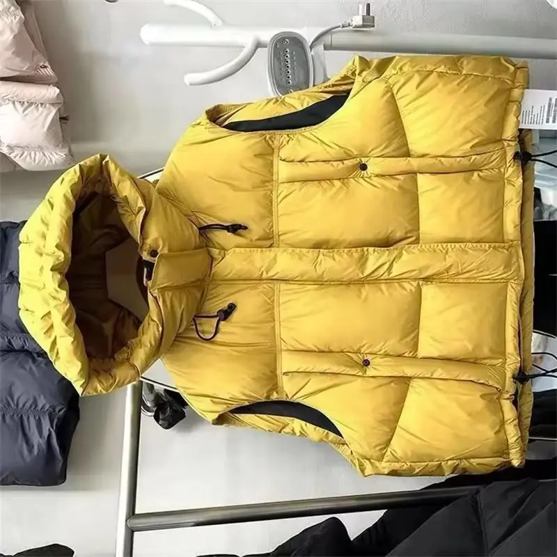 

Новый осенне-зимний пуховый хлопковый жилет с капюшоном, женские свободные утепленные парки с рукавами, женский жилет, пальто, женские короткие топы