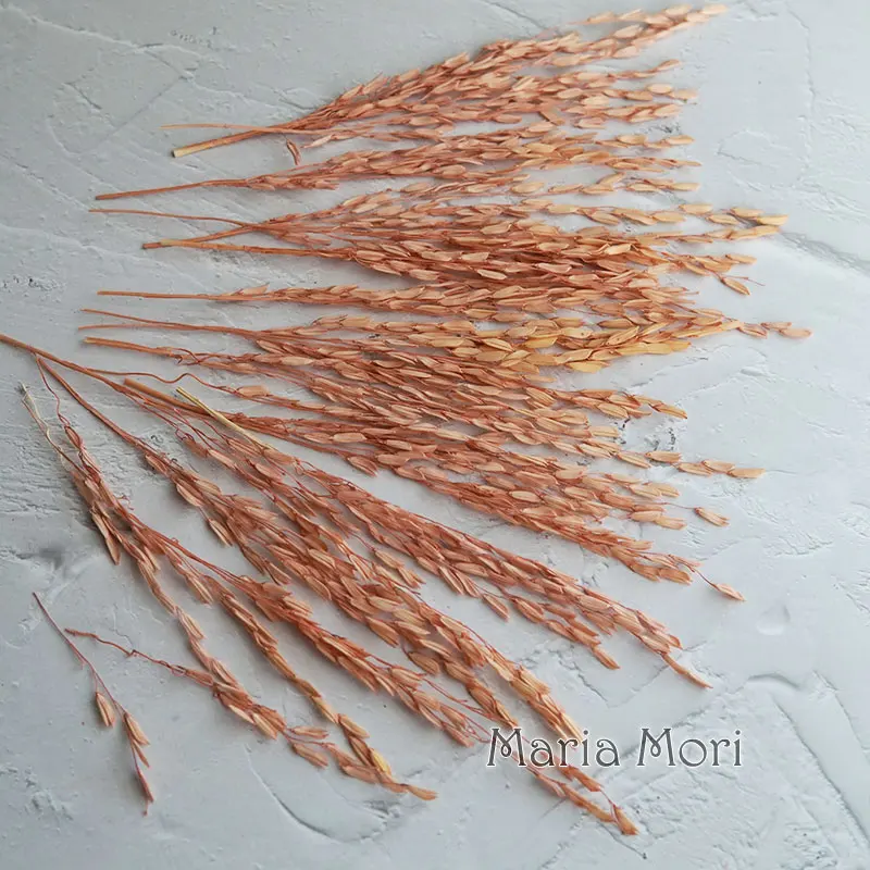 5 جرام/Broomcorn مصبوغ الزهور الطبيعية المجففة ابيض اليدوية DIY المواد الراتنج الايبوكسي الغراء الروائح الشموع الزهور