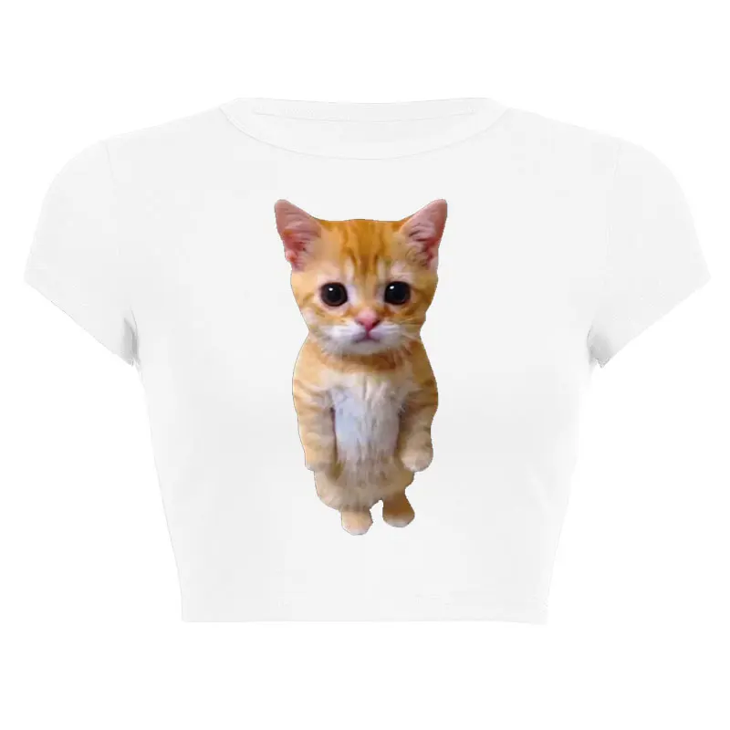 Summer Funny  Gato Meme Sad Crying Cat Munchkin Kitty Print Women y2k Harajuku TShirts Casual Cropped Navel  Top Tees