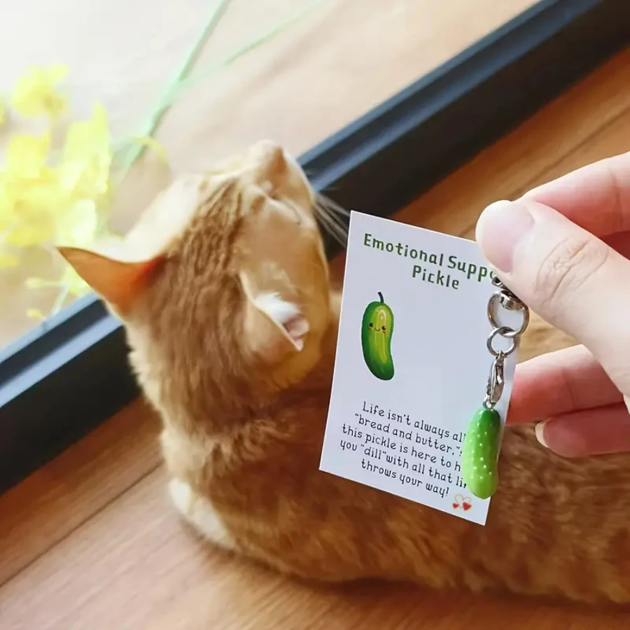 Inspirational Pickle Keychain with Card, Cartoon Cucumber Pocket Hug, Encouraging Quote, Positive Energy Gift for Friends & Fami