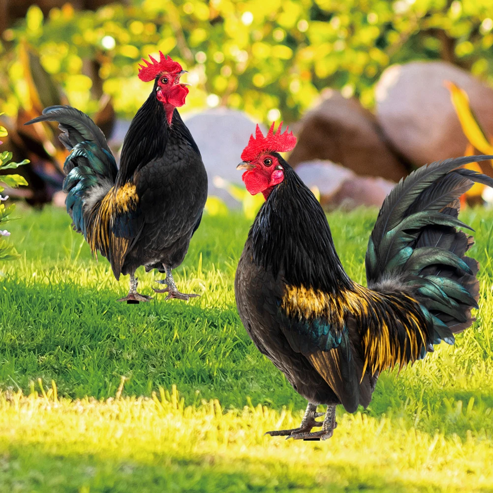 

2Pcs Chicken Shape Decoration Stakes Yard Rooster Acrylic Garden Inserts Outdoor Courtyard yard ornaments for garden lawn