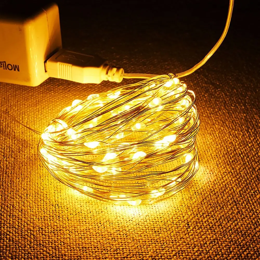 USB LED String Light 1/2/3/5/10M Copper Silver Wire Fairy Light White Colorful 5V Garland Light