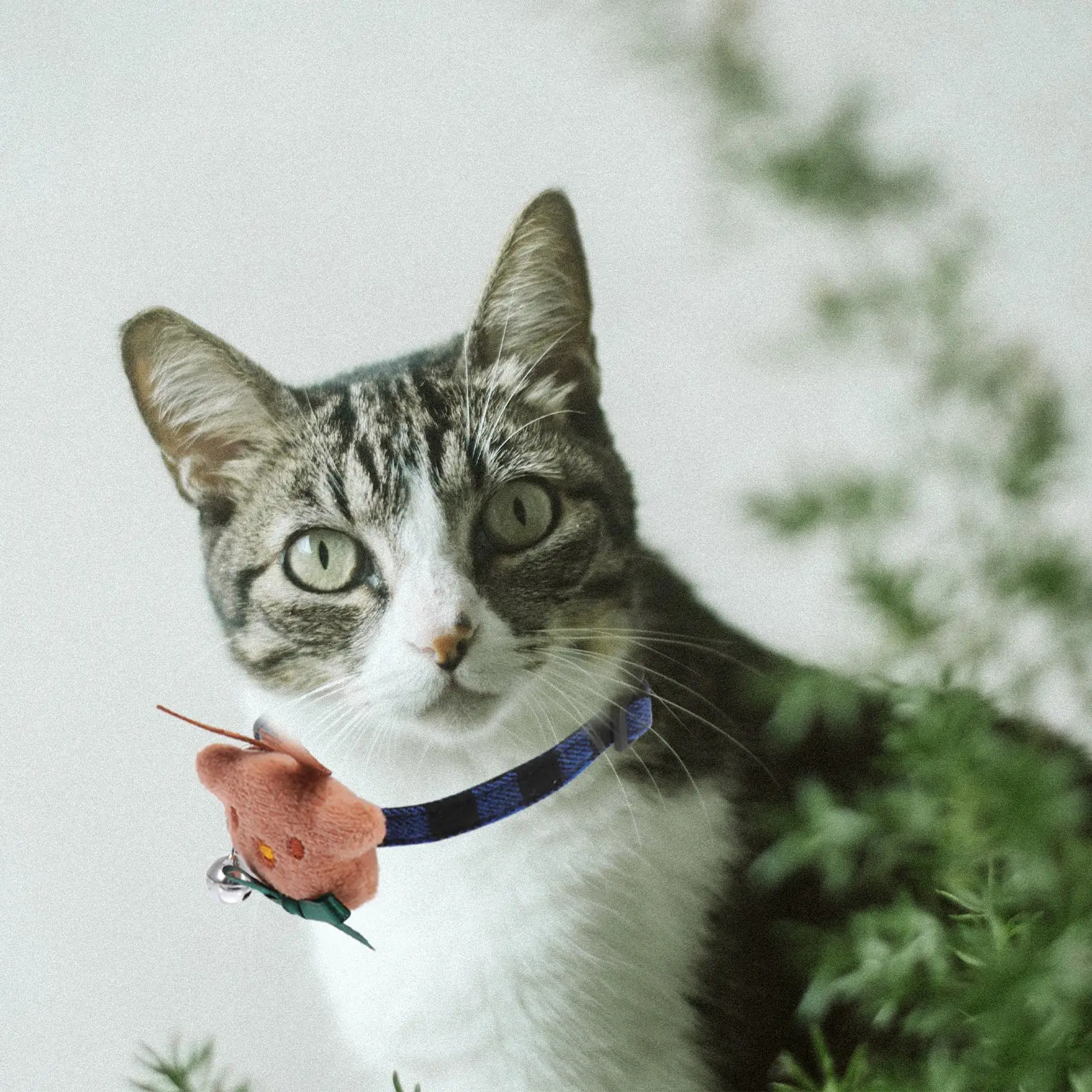 

2 pcs Adjustable Dog Collar Cartoon Pet Collars Christmas Cat Collar For Puppy Outdoor Running Training Decorative Accessory