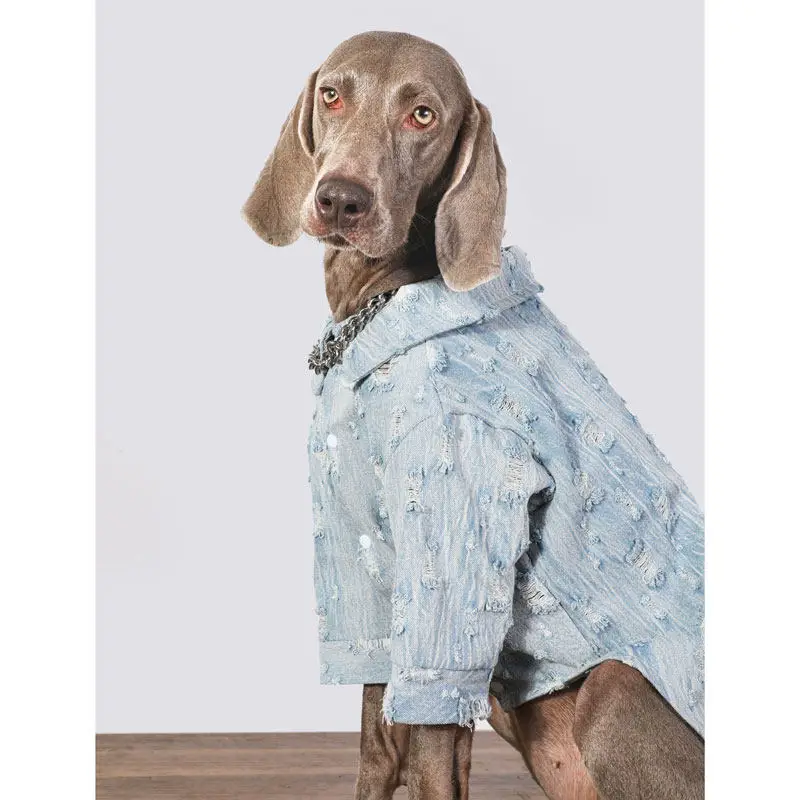 Spring and Summer Thin Breathable Old Style Ripped Soft Cotton Denim Shirt Small Medium and Large Dog Clothes