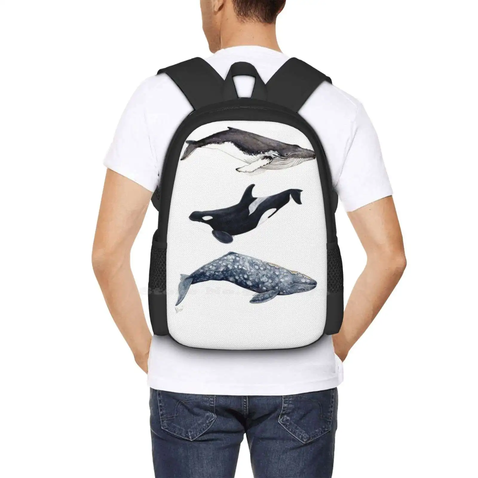 Mochila de diseño para estudiantes universitarios, de diseño morral con diseño de Orcas, delfines, Orcinus, Orca, ballena jorobada y gris