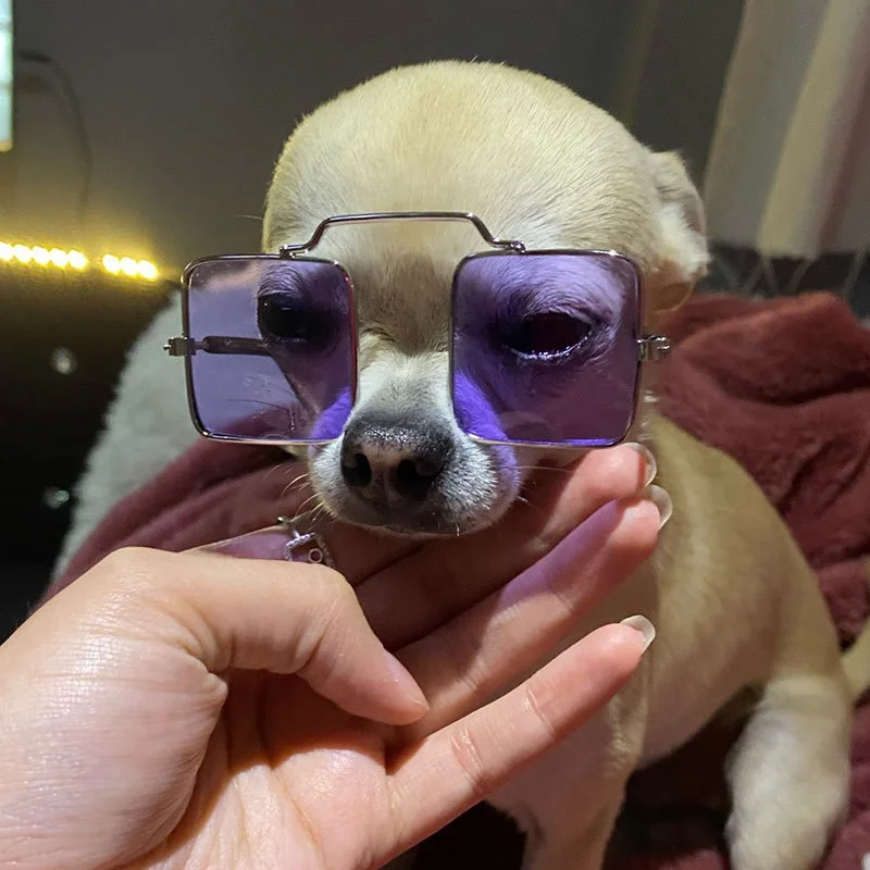 Modische Haustierbrille, Katzen-Sonnenbrille – Hunde-Foto-Requisiten, Brillen für Tiere, niedliches Party-Dekor-Zubehör, Katzenaugen-Haustierzubehör
