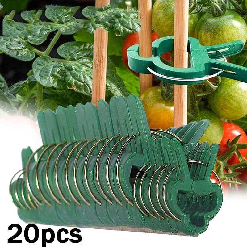 20pcs Reusable Green Garden Plant Fixed Clips for Greenhous Vegetables Flowers Stem Vines Grape Clamp Support Fastener Tools