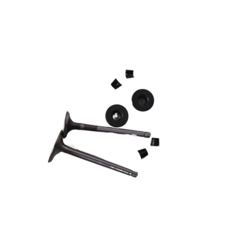 

Valve seat lock plates for KAIpu KDE6500E, KDE5500E and KDE5000EW diesel generators D