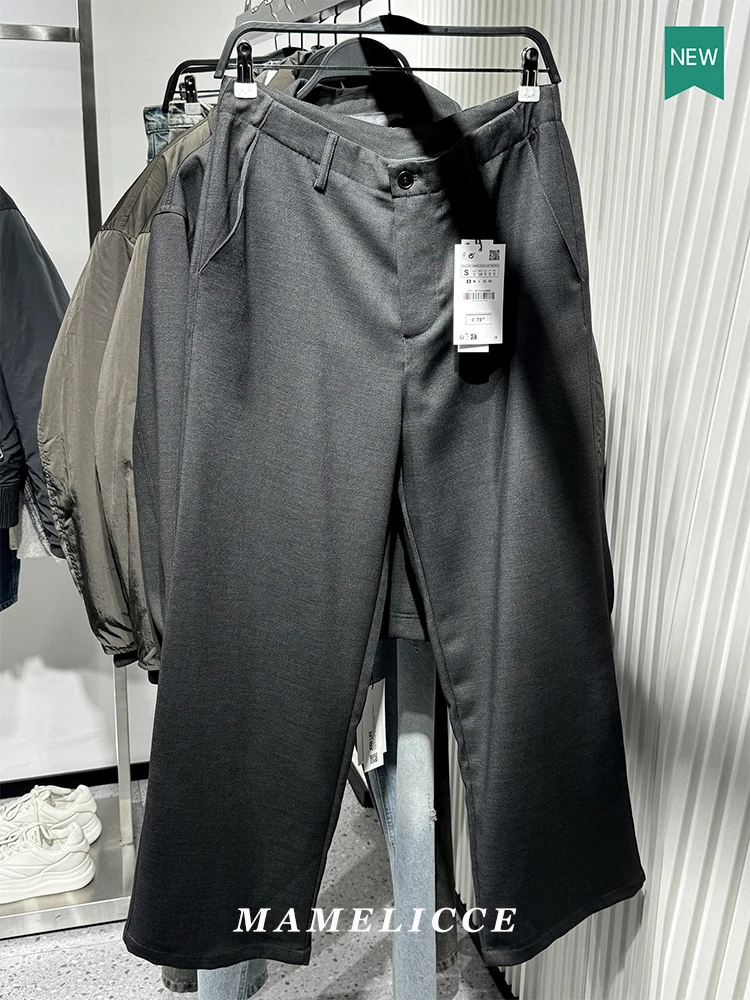 

MAMELICCE Original design Structured balloon fit pants men's simple trousers 2026 New Casual pants loose