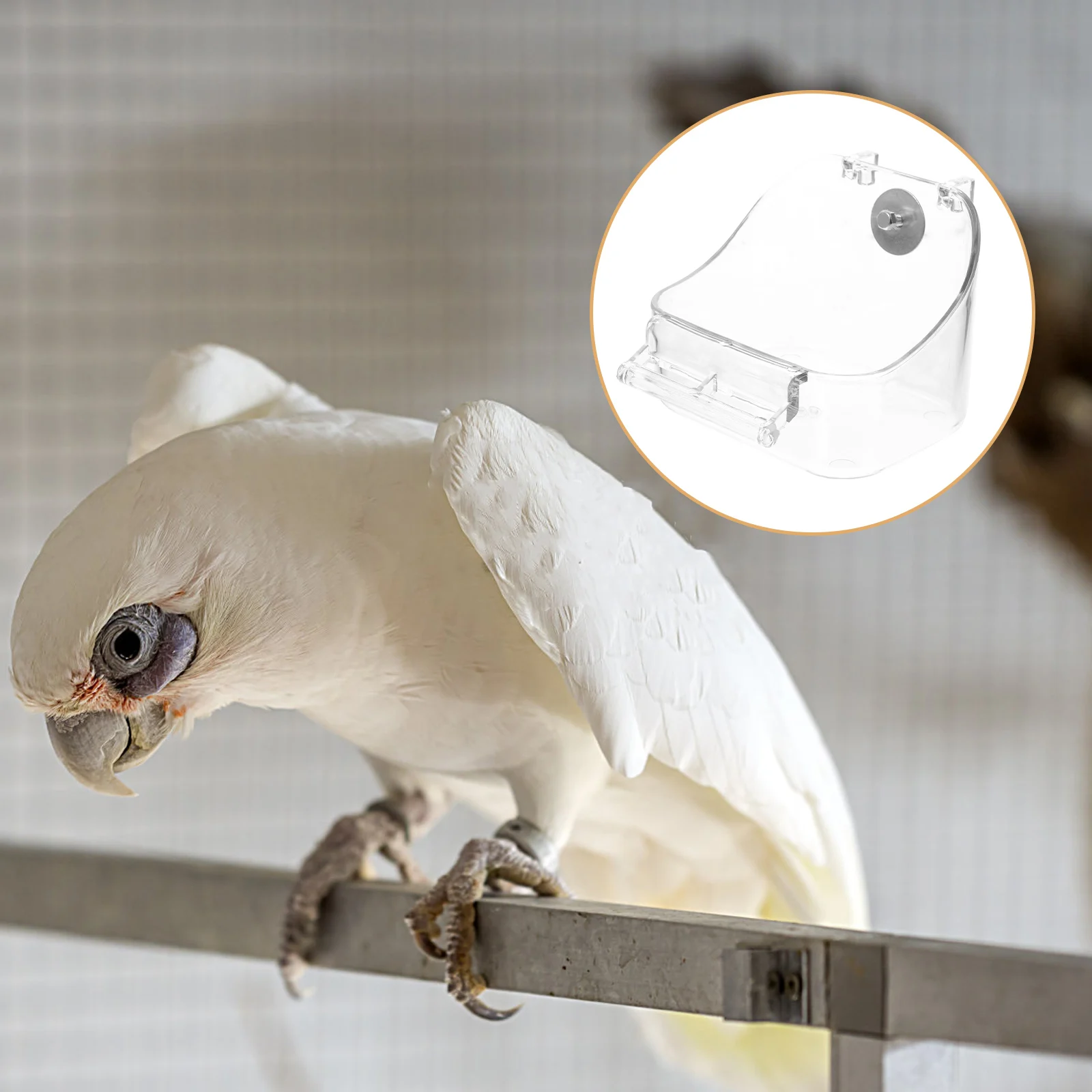 

Hang Type Feeding Bathtub Parrot Water Bird Shower Cage Hanging Pet Baths Accessory Transparent Multipurpose Small