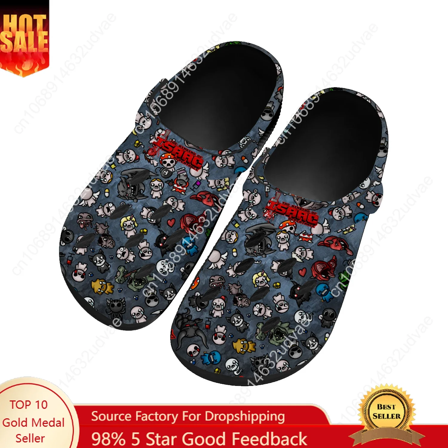 The Binding of Isaac Water Shoes Men Women Teenager High Quality Home Garden Clogs Custom Sandals Beach Breathable Hole Slippers