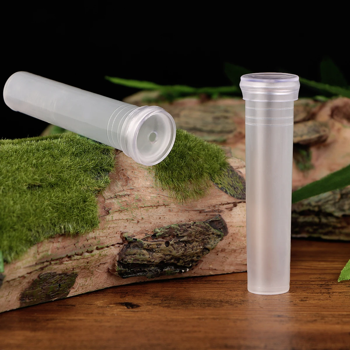 

Flower Water Storage and Preservation Tube Florist Tubes Florists Individual Vials Arranging Test Bottle Indoor Woman