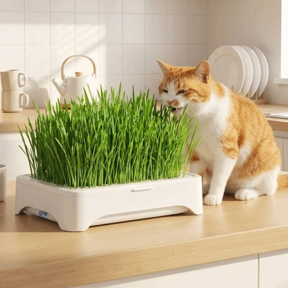 Plastic Cat Grass Planter Anti-Pull Out Self-planted Tray Soil-Free Nursery Box Growth System Cultivation Pot Growth Planter
